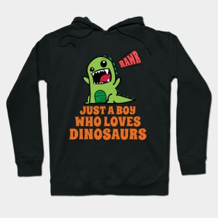 Just A Boy Who Loves Dinosaurs Hoodie